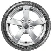 Dunlop 205 55 R16 91H SP Winter Sport 4D MS MO 15130587