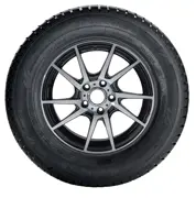 Tomket 165 70 R14 81T Snowroad 3 15233347