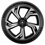 MICHELIN 255 40 R20 101W Pilot Sport EV XL Acoustic T0 15343362