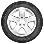 Viking 225 50 R17 98W Four Tech XL 15325212