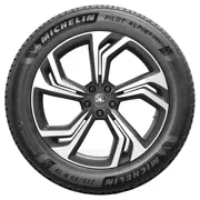MICHELIN 295 30 R22 103W Pilot Alpin 5 SUV XL RP 15346990