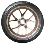 Dunlop 200 50 ZR17 75W Qualifier Core Rear M C 15367034