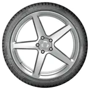 Nokian Tyres 245 40 R18 97V WR Snowproof P XL 15319429
