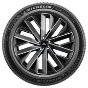 MICHELIN 255 45 R20 105Y Pilot Sport 5 Energy XL NRG 15441424