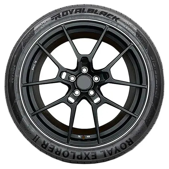 Royal Black 255 45 ZR20 105Y Royal Explorer 2 XL 15449319
