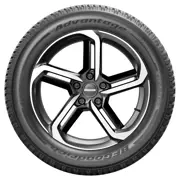 BFGoodrich 245 45 R18 100W Advantage All Season XL 15360944