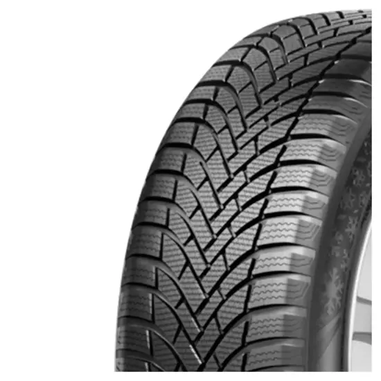 Austone 255 40 R20 101W Nixia Winter Pro XL FSL EUDR 15459678
