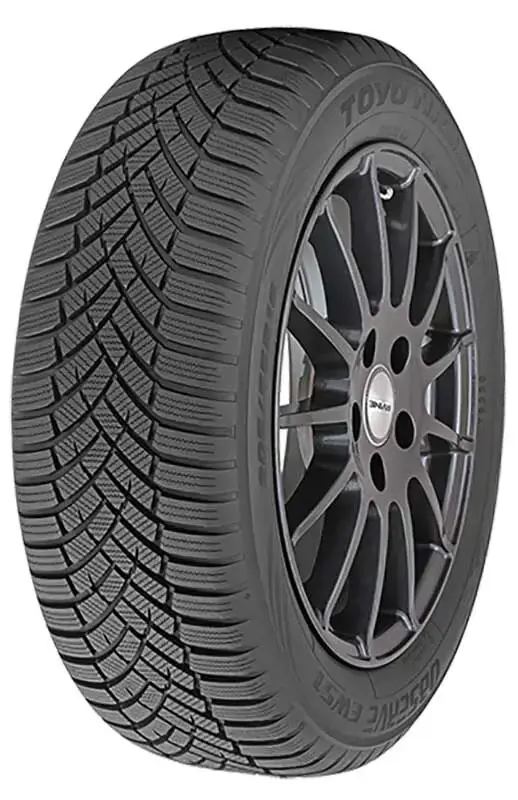Toyo 255 60 R18 112V Observe EWS1 XL 15462932